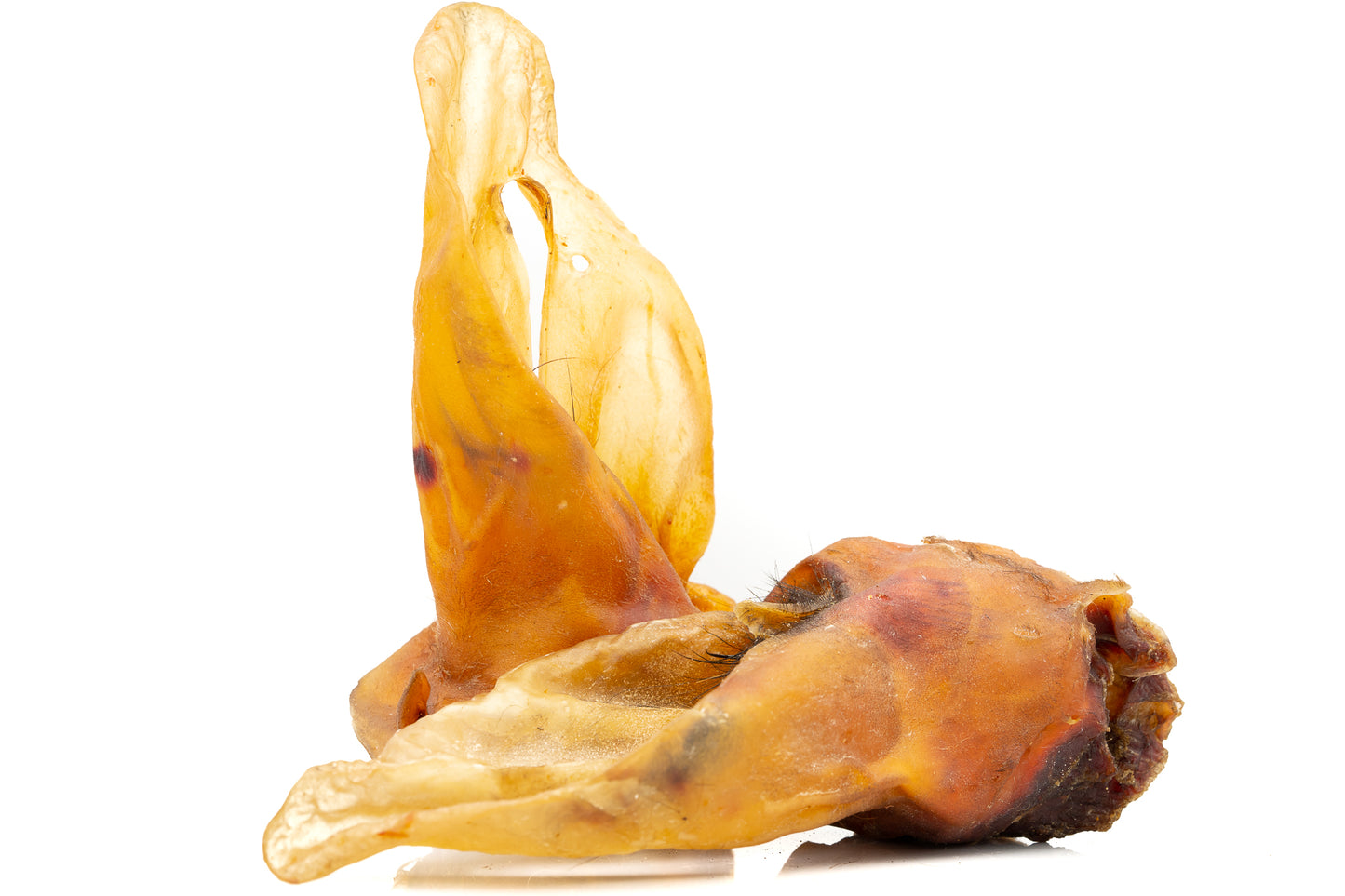 Beef ear without fur, 1 pc.