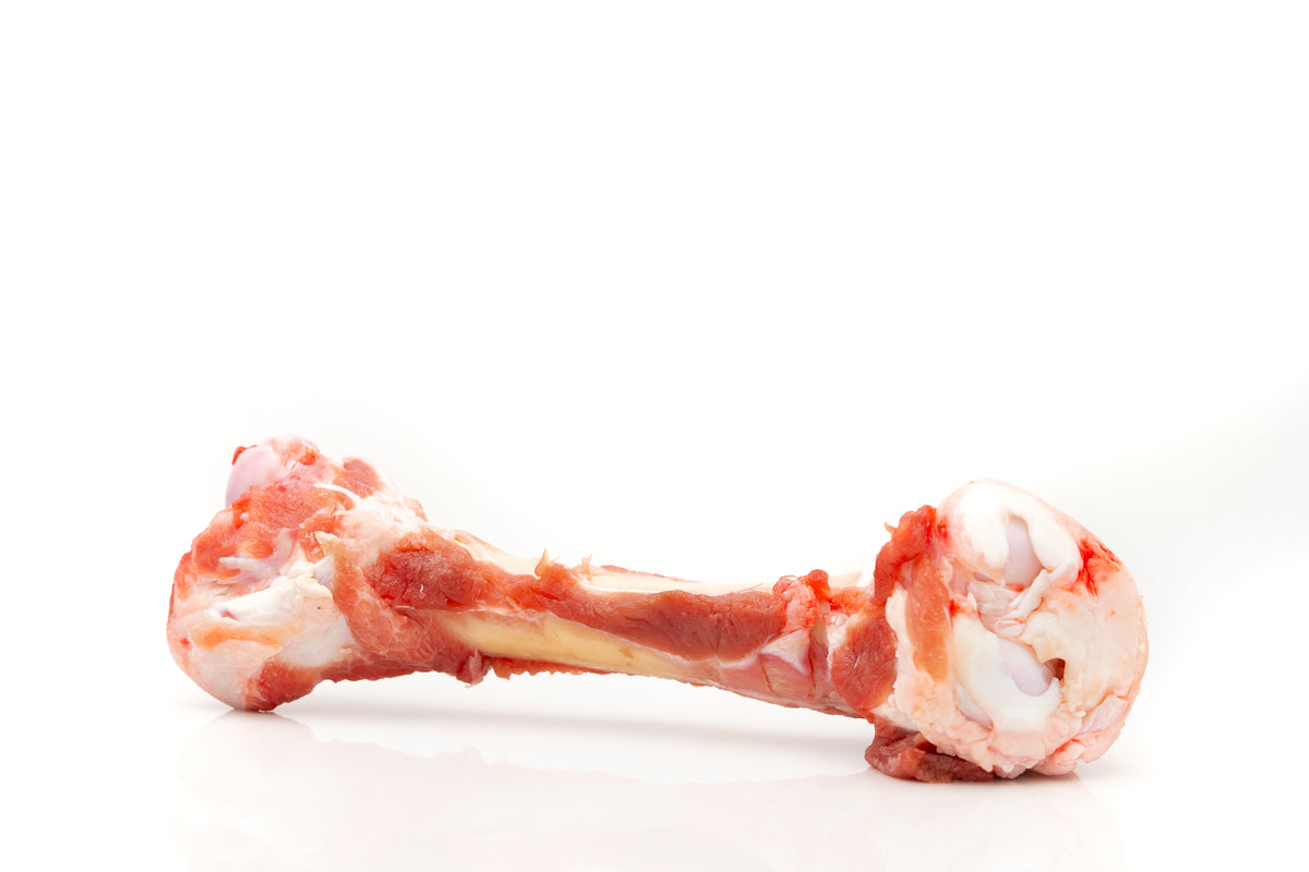 Lamm Knochen tk. 2 Stk.