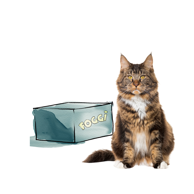 Katzen Monatsbox - fertige Menüs (Rind & Huhn)