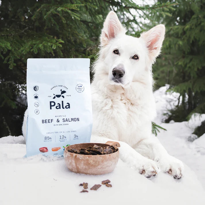 Pala Rind und Lachs 100g