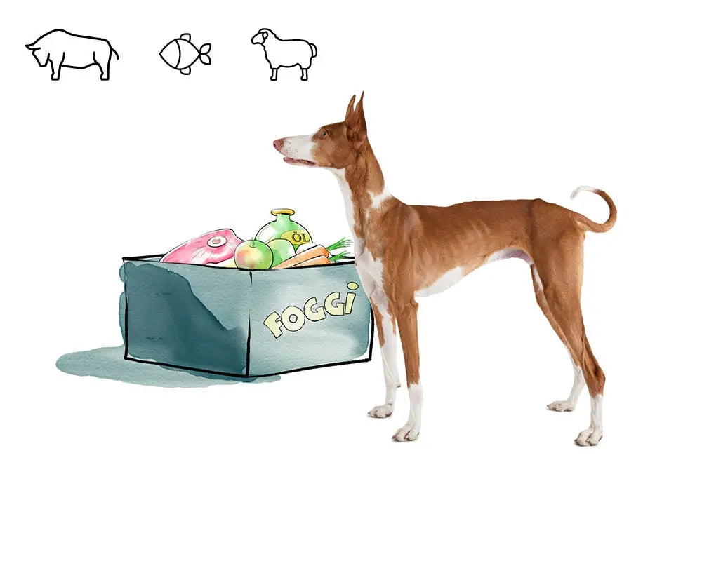BARF set for thin dogs