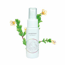Augentrost Spray 50ml