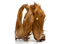 Beef ears with fur, 1 piece.