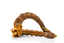 Dried turkey neck, 1 piece.