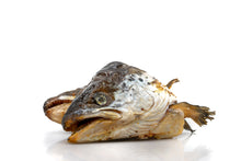 Salmon head 1 pc.