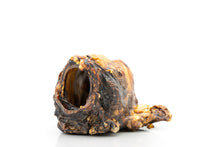 Bovine larynx 1 pc.