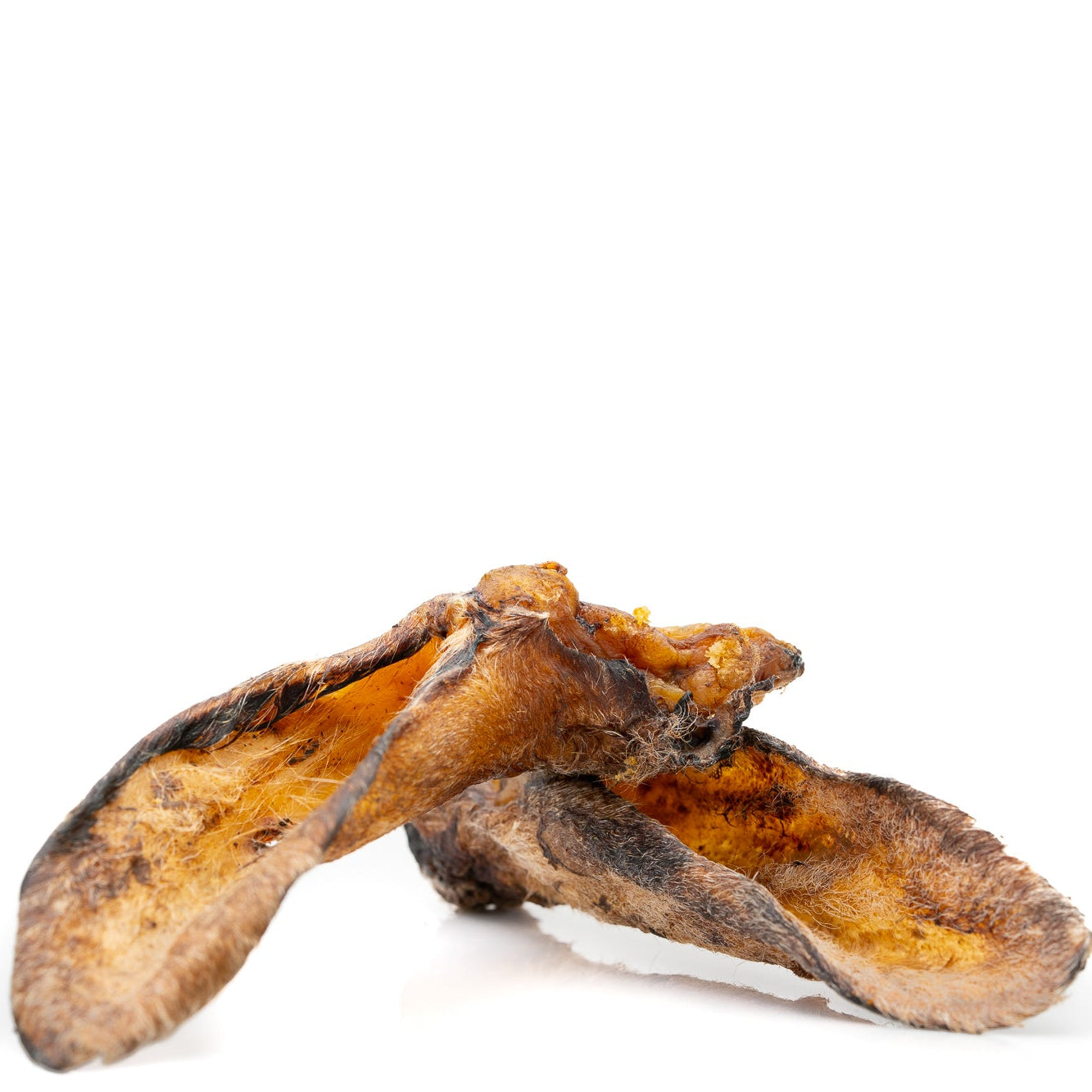 Lamb ears with fur, 10 pieces.