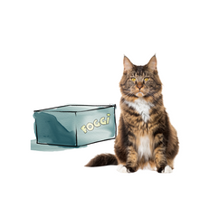 Katzen Monatsbox - fertige Menüs (Rind & Huhn)