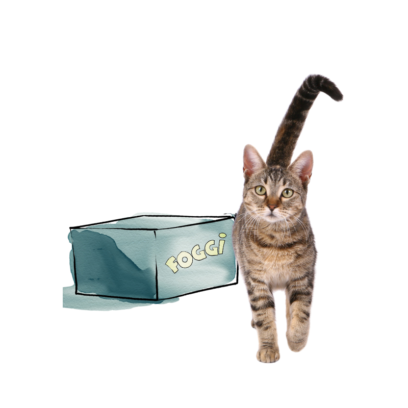 Katzen Monatsbox - fertige Menüs (Kaninchen & Pferd)