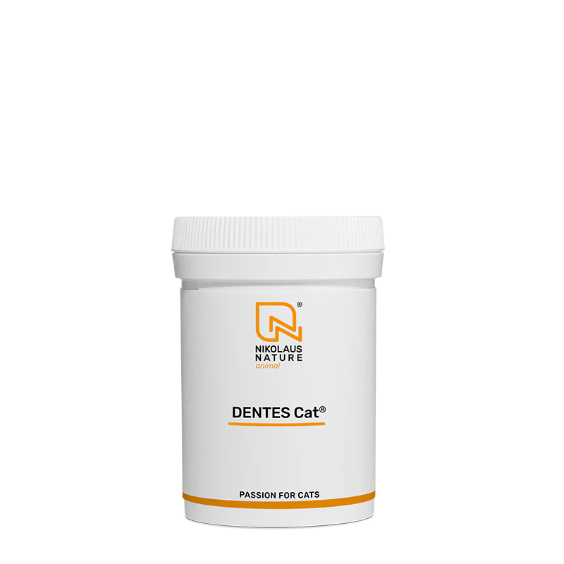 DENTES Cat 35g