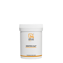 DENTES Cat 35g
