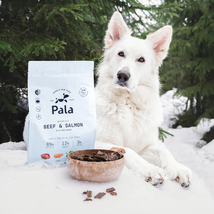 Pala Rind und Lachs 100g