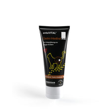 EntoVital Gastro Intestinal 70g Paste