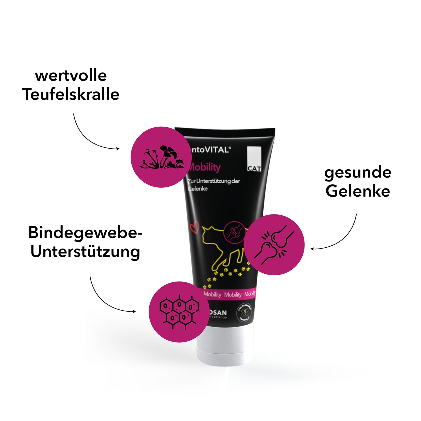 entoVital Mobility Paste 70g