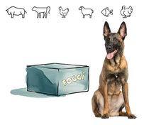 Monthly box no. 4