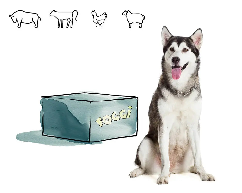 Monatsbox Nr. 6