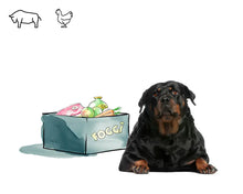 BARF-SET für dicke Hunde