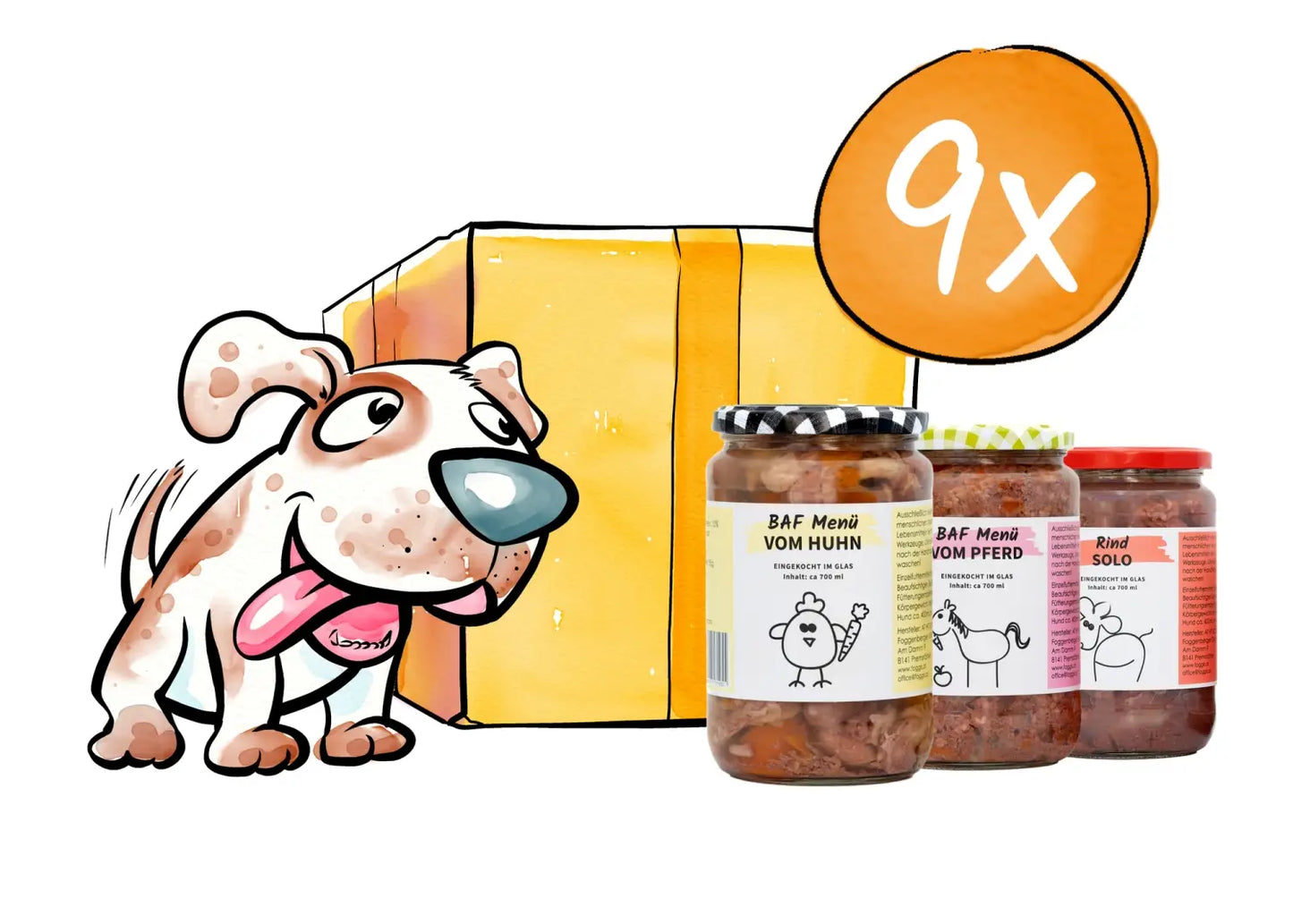 URLAUBS-BOX 9x700ml