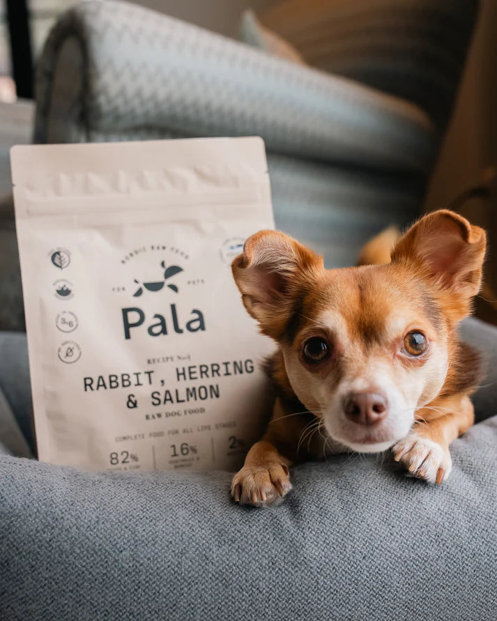 Pala Kaninchen, Hering und Lachs 100g